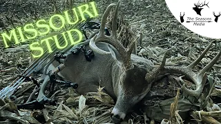 Huge Missouri Buck Down | Missouri Whitetail | Archery Deer