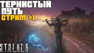 STALKER ТЕРНИСТЫЙ ПУТЬ ПРОХОЖДЕНИЕ ☢ ЗНАКОМИМСЯ С СЕРИЕЙ МОДОВ ☢ СТРИМ #1