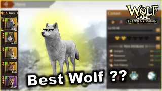 UNDERSTANDING YOUR WOLFS SKILLS: Wolf Game the Wild Kingdom