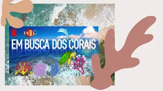 Em Busca dos Corais 😎  Netflix