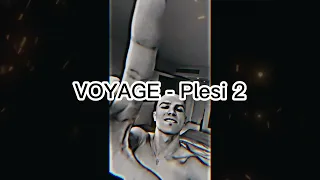 VOYAGE   PLESI 2   4K