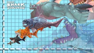 HUNGRY SHARK EVOLUTION ALL SIZE COMPARISON (NEW 2022) !  BEHEMOTH UPDATE