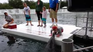 Детки целуются с дельфином.