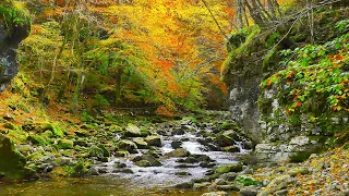 Native American Flutes and Nature Sounds - for Sleep or Relaxation