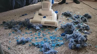 Vacmaster Vacuuming Blue Mix | @jennifferM0123