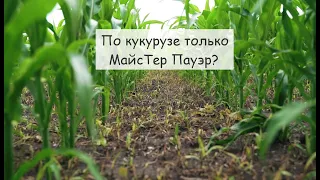 Почему выбирают МайсТер Пауэр? Отзыв