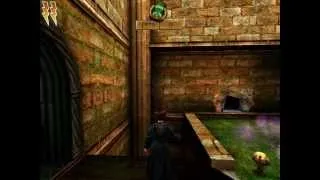 Harry Potter and the Chamber of Secrets (PC) Playthrough Part 7