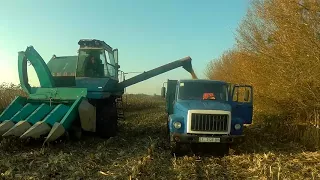 Збір кукурудзи 2017 Нива СК-5+ППК-4