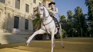 Andalucía deja huella 👣 | Fundación Real Escuela Andaluza de Arte Ecuestre