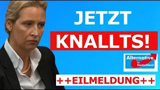 Alice Weidel - Hochexplosive Aussagen! Das knallt gewaltig!!!