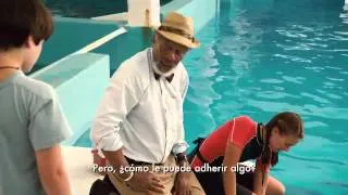 A DOLPHIN TALE (HBO LATINO)