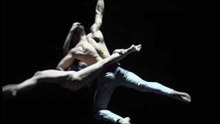 Aerial duo straps "Spirit"