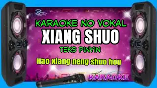 Xiang shuo - karaoke no vokal (cover to lyrics pinyin)