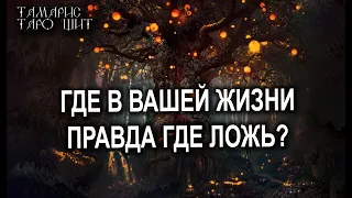 ГДЕ В ВАШЕЙ ЖИЗНИ ПРАВДА ГДЕ ЛОЖЬ?🔥💯ТАРО / РАСКЛАД / ГАДАНИЕ