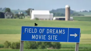 The Field of Dreams - They Built It, So We Went