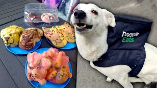 Perrita vende pan para ayudar a refugio de perros