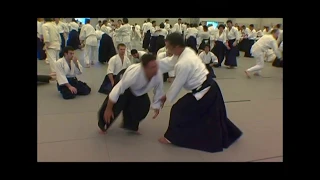 Aikido - Ichiro Shibata Shihan - USAF 2004