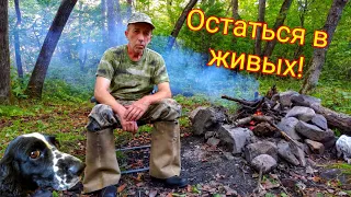 A DANGEROUS JOURNEY TO THE BENEVSKIY ELAMOVSKIY WATERFALLS. Coastal waterfalls.