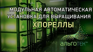 Установки для выращивания хлореллы ! от компании Альготек!