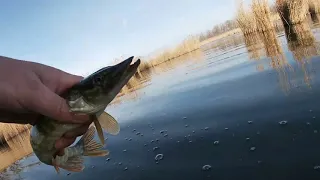 Ловля щуки,Тини Мегалон лучший весенний воблер!!!!