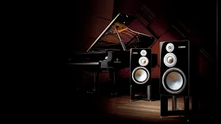 Сравнение Yamaha NS-5000 (1.000.000 руб) с Yamaha NS-1000M