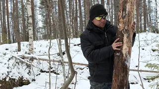 НОВАЯ СТРОЙКА в СЕКРЕТНОЙ ЯМЕ в лесу. Вернулась зима