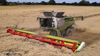 4Kᵁᴴᴰ Harvest 2023: Claas Lexion 780 TT combine cutting wheat near Blythburgh