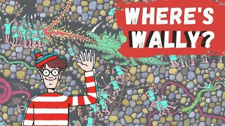 Where's Wally / Waldo challenge!!! Family fun game| FIND WALLY IN TIME!!! (4)