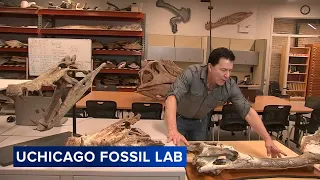 University of Chicago fossil lab, museum opens on city's South Side