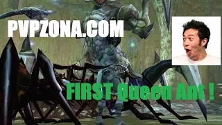 PvpZona.com First AQ by Disgrace