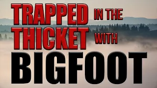 Trapped by Bigfoot