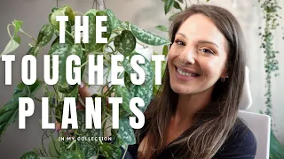 My TOUGHEST Plants | Best for Beginners | Can You TRAIN PLANTS to take NEGLECT?!