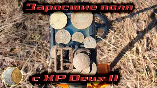 21.04 Заросшие поля. Пара серебрушек у Deus 2 / Deus 2 took two silver soviet coins.