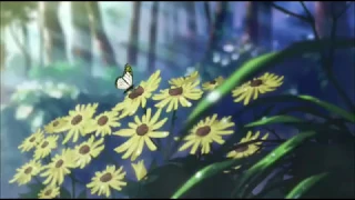 Красивый аниме клип "Шираюки и Зен"- любовь ярко алого цвета