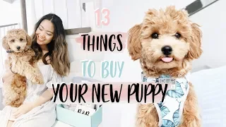 13 THINGS TO GET YOUR NEW PUPPY! | TRISH REYES