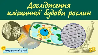 Дослідження клітинної будови рослин