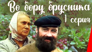 Во бору брусника (1 серия) (1989) фильм