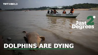 JUST 2 DEGREES: DEATHS IN THE AMAZON