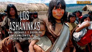 Asháninkas, la indomable y guerrera etnia amazónica que enfrenta nuevas amenazas