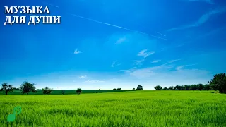 Музыка для души 🌿 Нежная лечебная музыка здоровья и для успокоения нервной системы #1