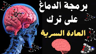 صيام الدوبامين  في العادة السرية والإباحية | برمجة الدماغ