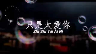 Zhi Shi Tai Ai Ni - Hins Cheung^~^
