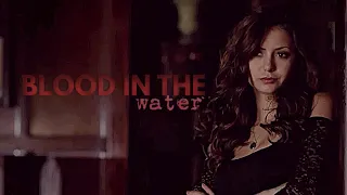 Katherine Pierce - Blood in the water