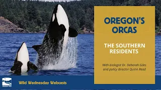 Oregon's Orcas: The Southern Residents