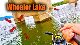 A Deadly Fishing Bait that Catches Fish like Crazy on Reel and Rod ! ! !