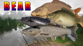 Russian Fishing 4 RF4 Bear Lake Active Spot Carp Grass and Black Carp  BISTRO