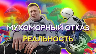 Отказ от Микродозинга. Последствия, реальность. Мухоморы. Трип. Пантерный мухомор. @gribpantera