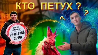 Кто петух?  СтопХам Кишинев Молдова Рейд