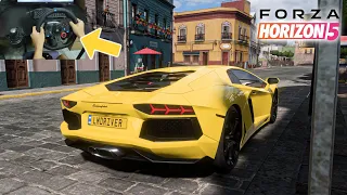 Forza Horizon 5 Gameplay - Lamborghini Aventador LP700-4 [ steering wheel + paddle shift ]