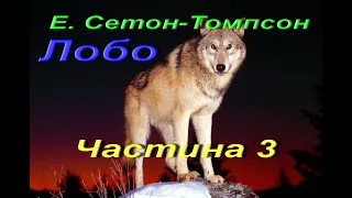 Ернест Томпсон Сетон. Лобо. Частина 3. Зарубіжна література. 5 клас